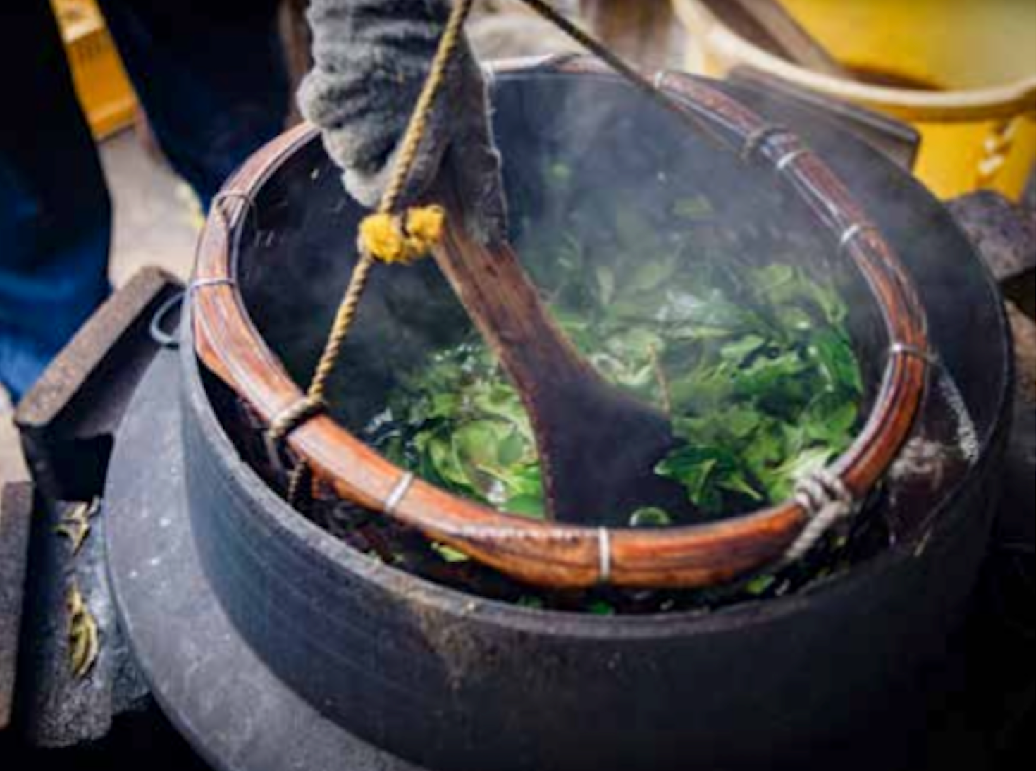 上勝阿波晩茶を支える人