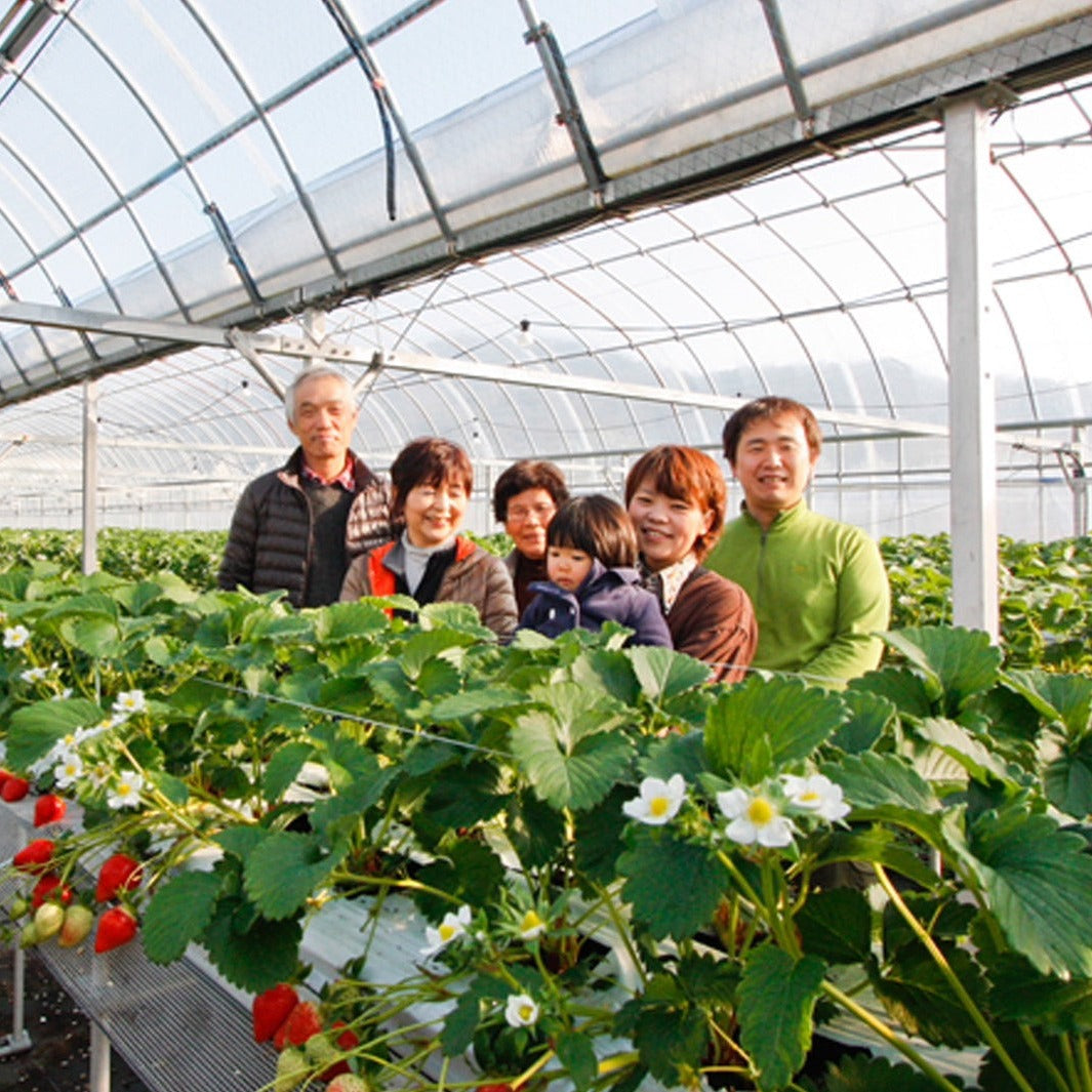 【とくしま yell プロジェクト】勝占いちご(冷凍)