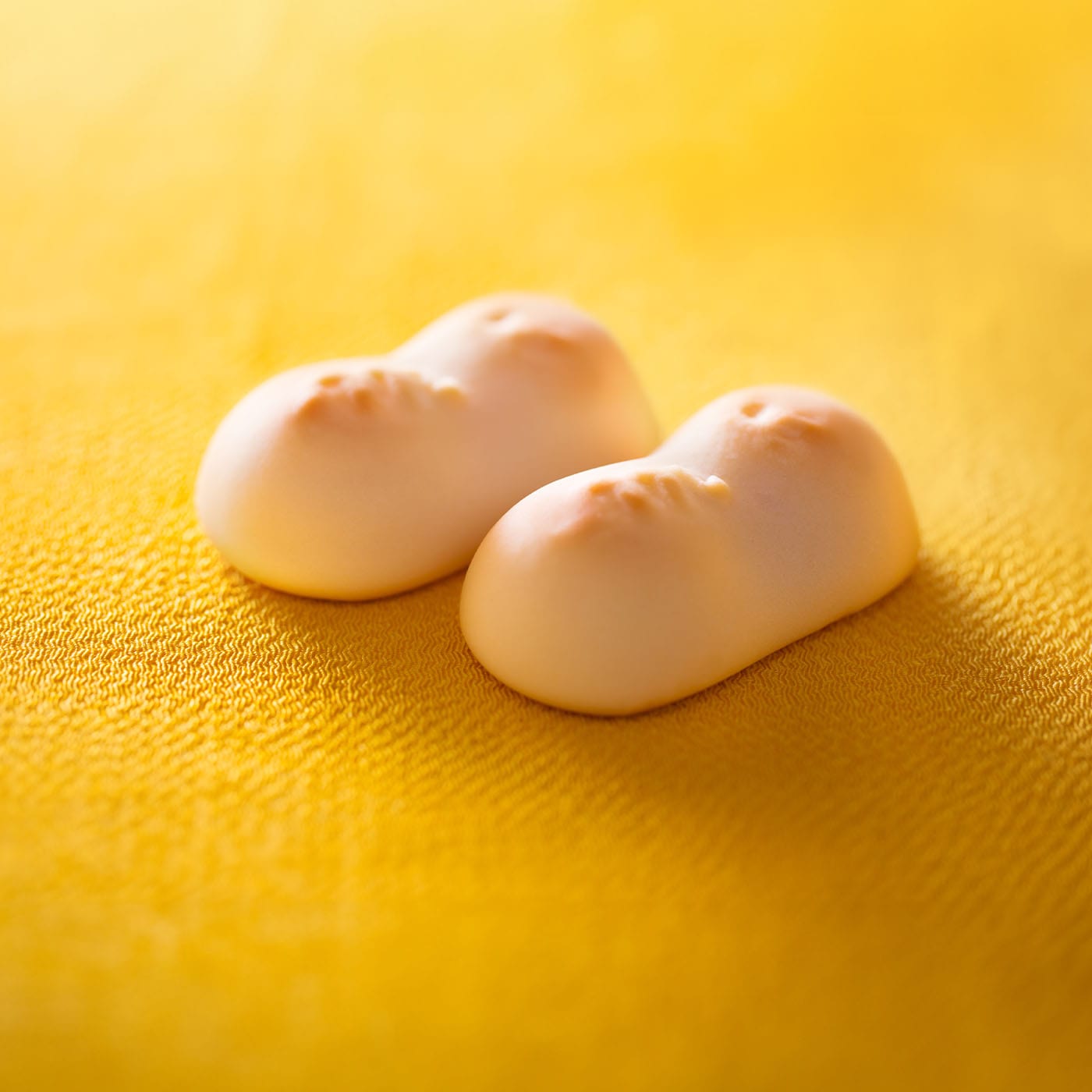 季節のマンマローザアンサンブル 18個入 (木頭ゆず)