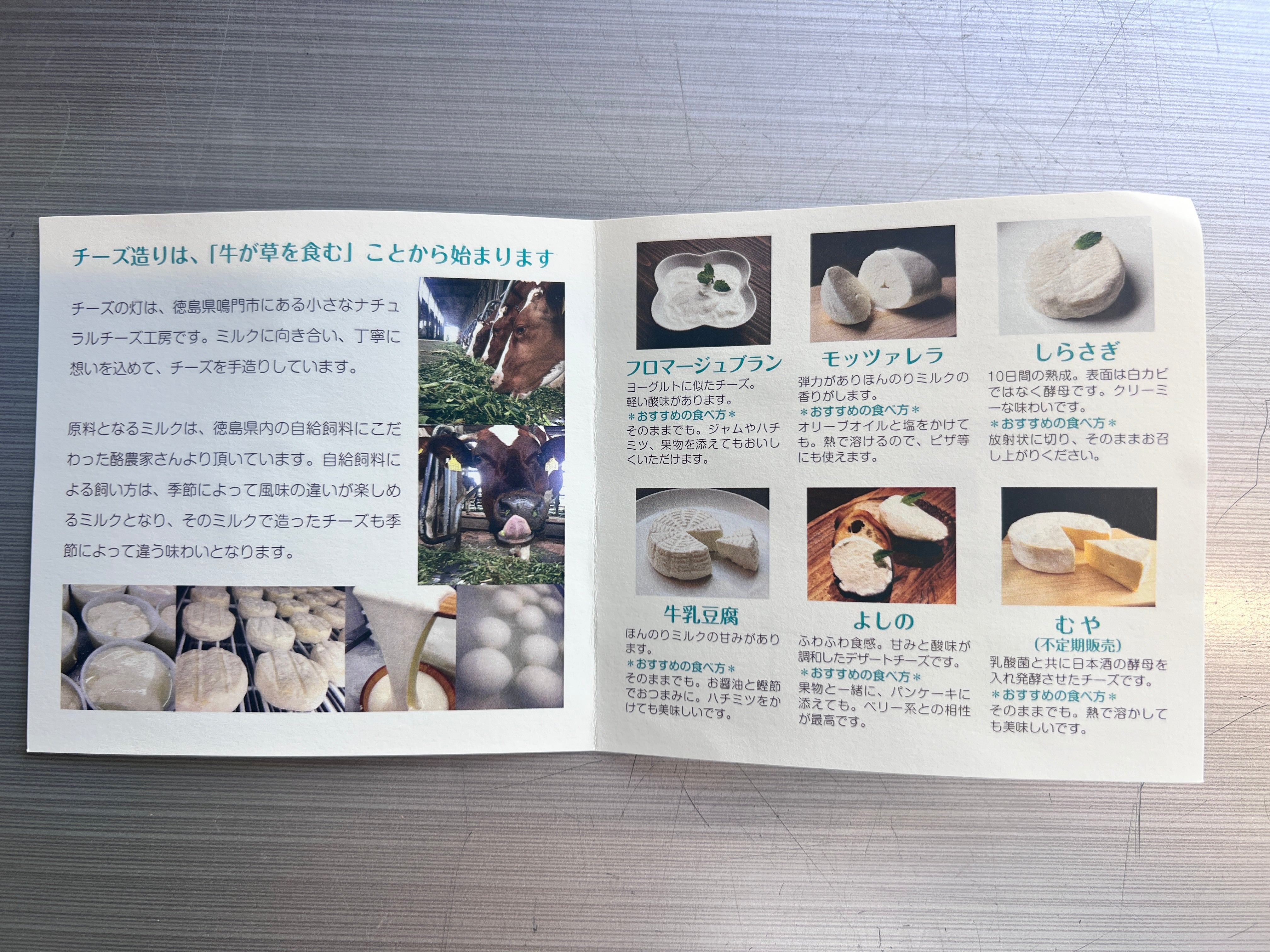 【限定20箱・予約販売】チーズの灯さん「徳島チーズ6種詰め合わせ」