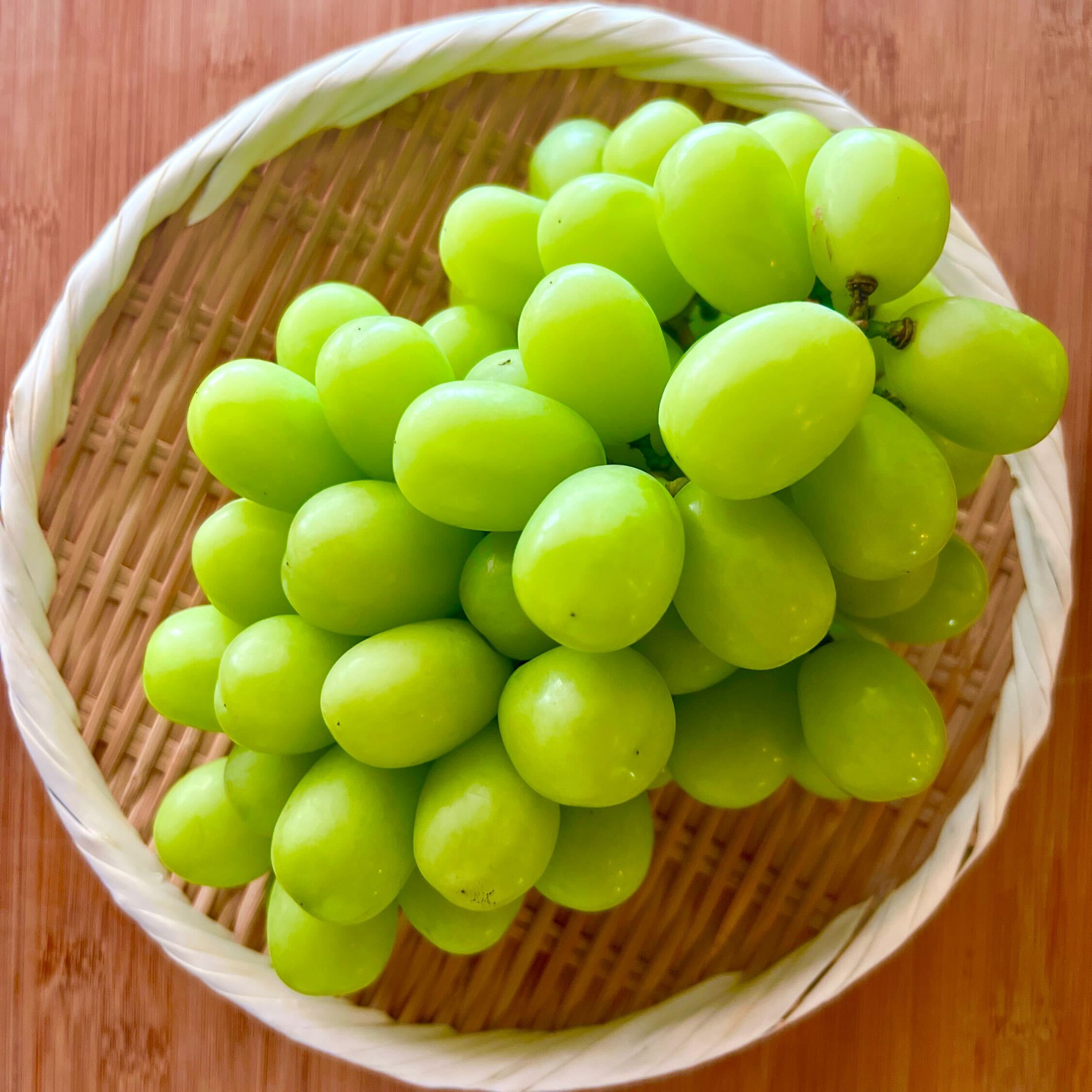 シャインマスカット大粒多め入り粒 シャインマスカット大粒多め入り粒 シャインマスカット大粒多め入り粒